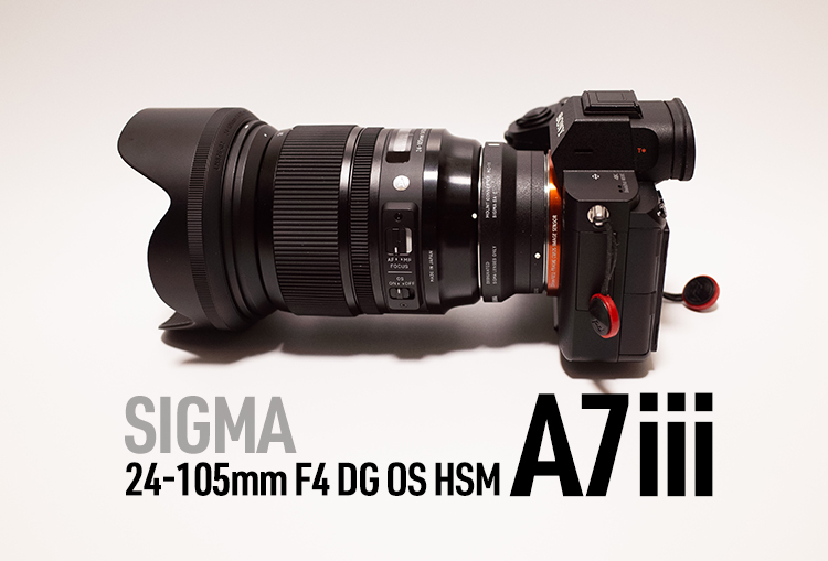 【美品】SIGMA 24-105mm F4 DG OS HSM Art ソニー用